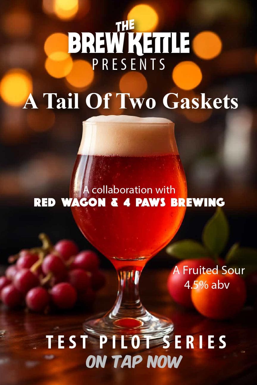 A Tail Of Two Gaskets poster web