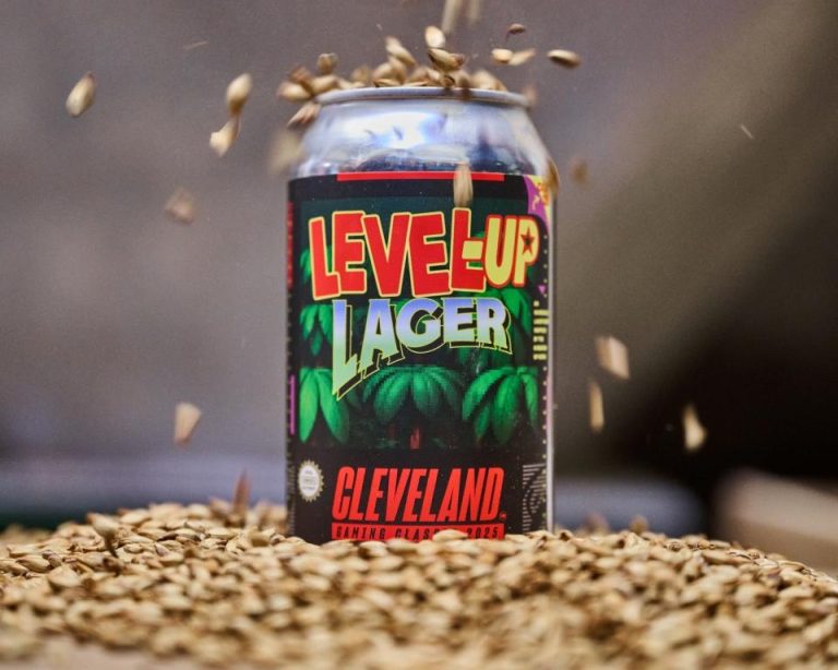 Level Up Lager 15 Level Up Lager - The Brew Kettle