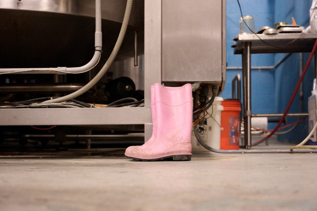 Pink Rajah Brewery Shoot 118